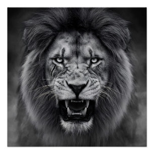 King of the Jungle Poster
