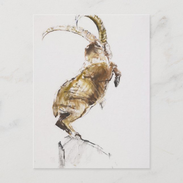 King of the Mountain 2005 Postcard (Front)