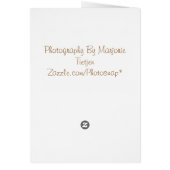 King Of The Roost (Back)