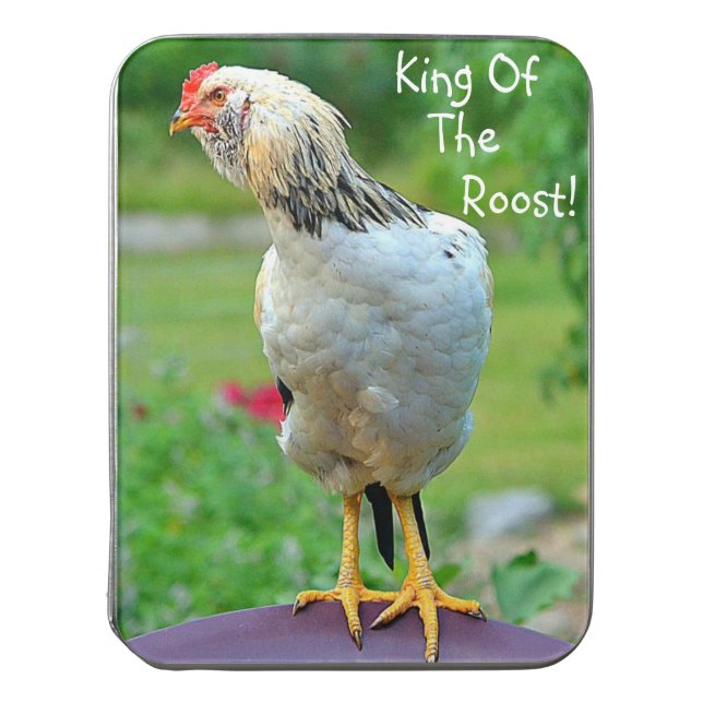 King Of The Roost Rooster Jigsaw Puzzle (Lid Vertical)