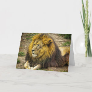 King of the Zoo Birthday Card