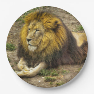 King of the Zoo Paper Plate
