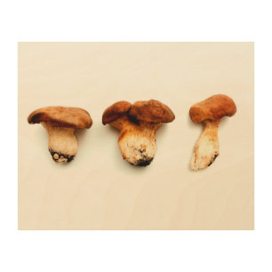 King oyster mushroom wood wall art