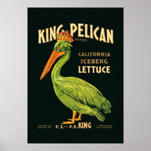 King Pelican Iceberg Lettuce Poster Zazzle