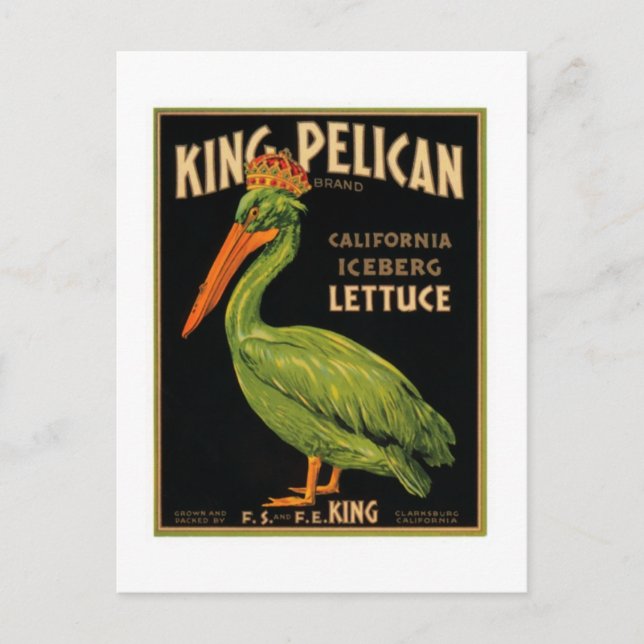 King Pelican Lettuce Postcard (Front)