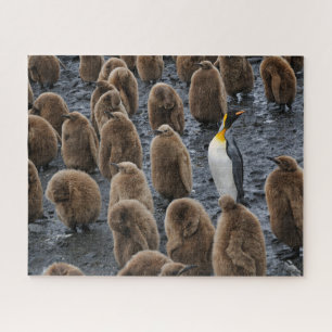 King Penguin and Young Chicks on South Georgia Jigsaw Puzzle