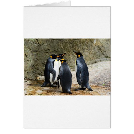 King Penguin Cards (Front)
