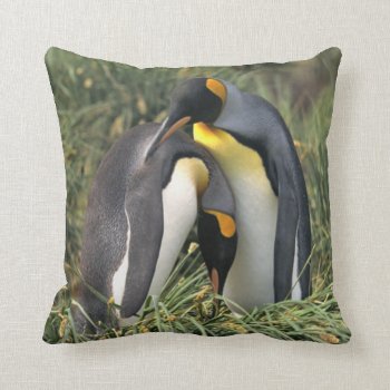 King Penguin Couple Throw Pillow by ironydesignphotos at Zazzle