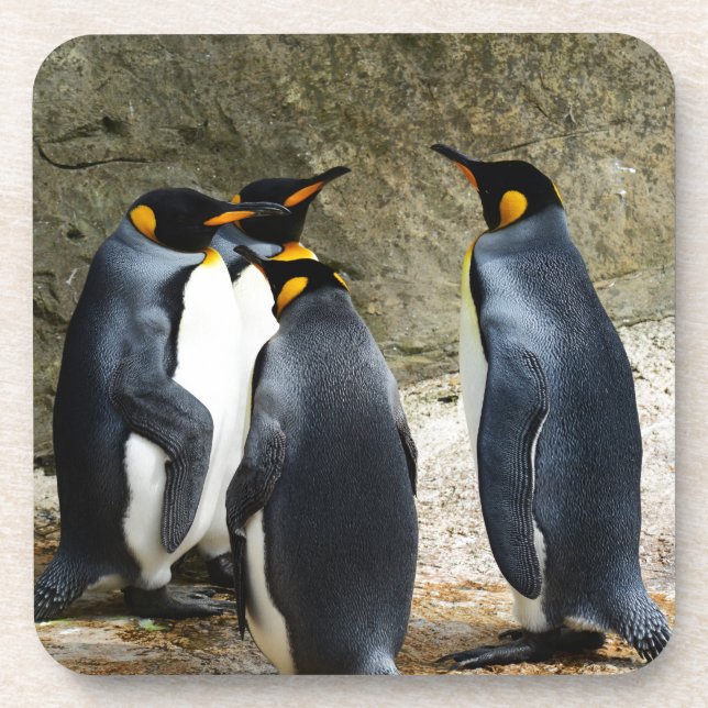 King Penguin Drink Coaster (Front)