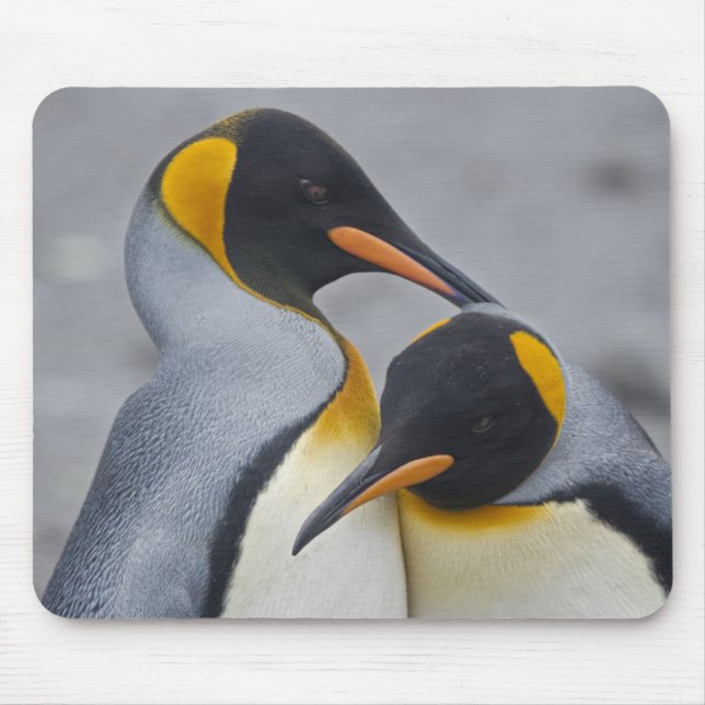 King Penguin Duet Mousemat Mouse Pad (Front)