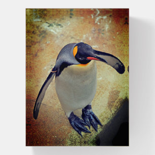 King Penguin Edinburgh Zoo Scotland Paperweight