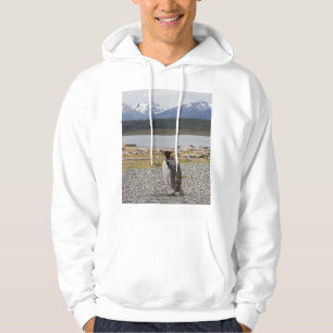 King Penguin, Isla Martillo, Tierra Del Fuego Hoodie