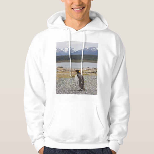 King Penguin, Isla Martillo, Tierra Del Fuego Hoodie (Front)