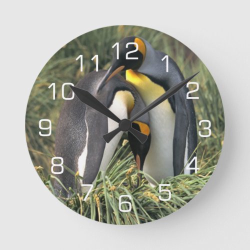 King Penguin Lovers Round Clock