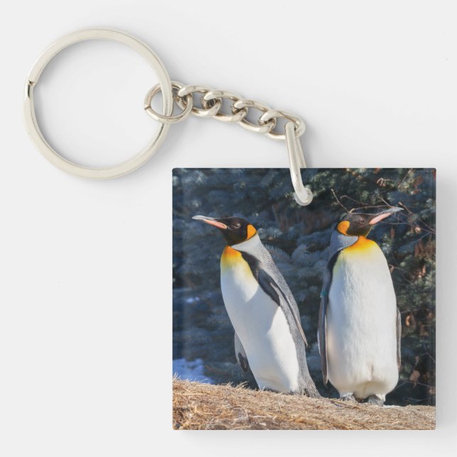 King Penguin Pair Against Wintry Backdrop Keychain (Front)