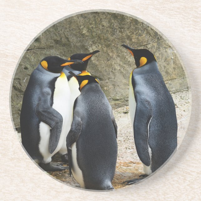 King Penguin Sandstone Coaster (Front)