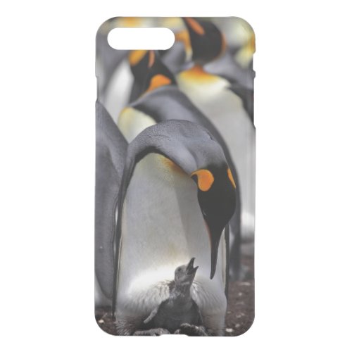 King Penguin with Chick iPhone 8 Plus7 Plus Case