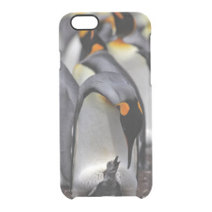 King Penguin with Chick Clear iPhone 6/6S Case