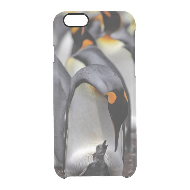 King Penguin with Chick Uncommon iPhone Case (Back)