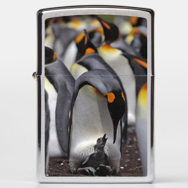 King Penguin with Chick Zippo Lighter (Front)