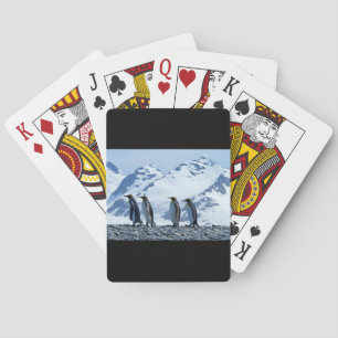 King Penguins at South Georgia Poker Cards