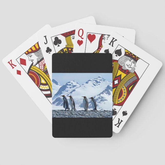 King Penguins at South Georgia Poker Cards (Back)
