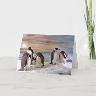King penguins card