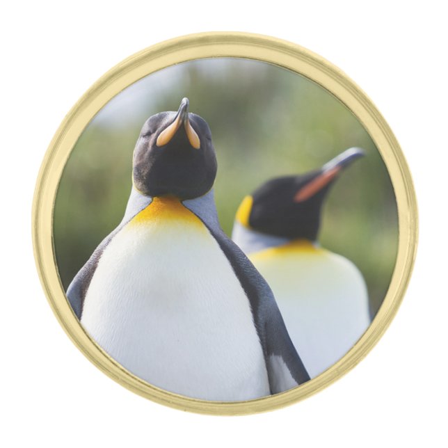 King penguins gold finish lapel pin (Front)