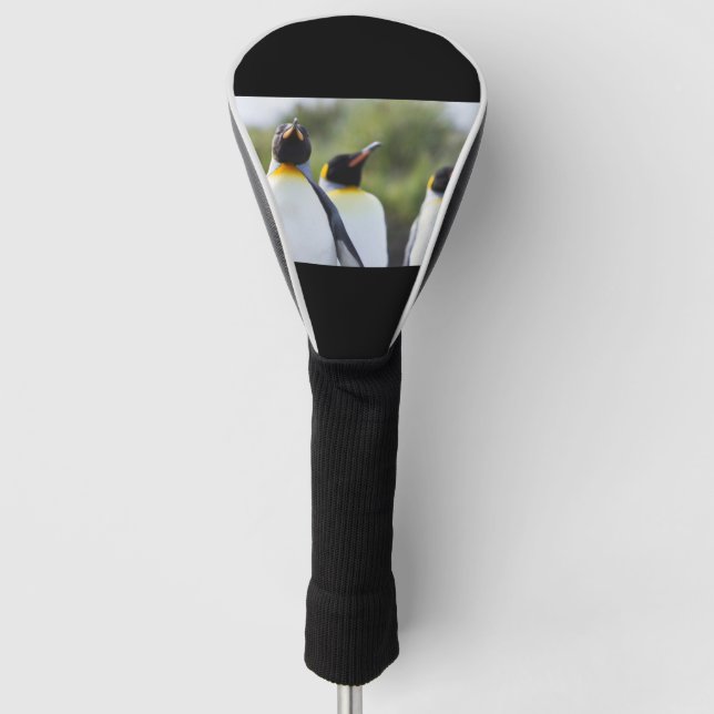 King penguins golf head cover (Front)