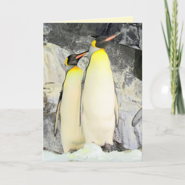 King Penguins Greeting Card (Front)