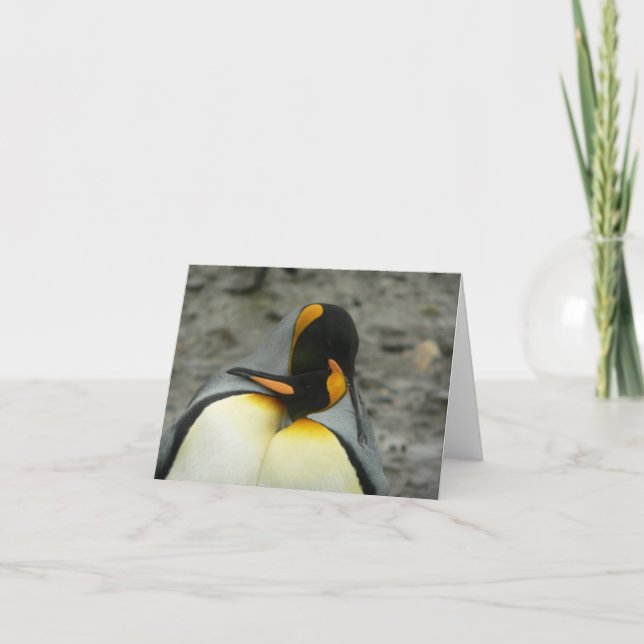 King Penguins Hugging Card (Front)