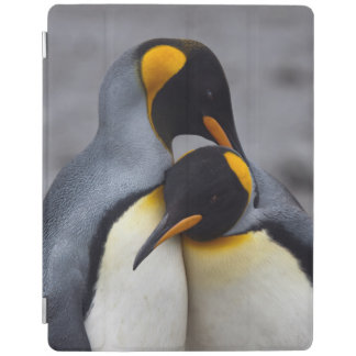 King Penguins in Love iPad Covers (all models)