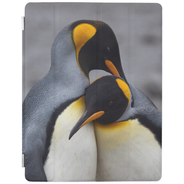 King Penguins in Love iPad Covers (all models) (Front)