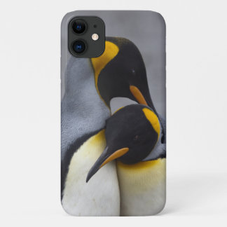 King Penguins in Love iPhone 11 Case