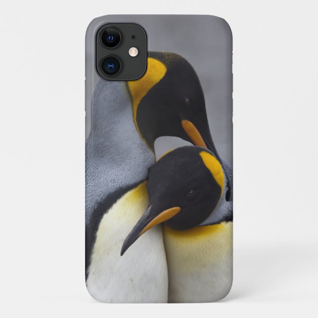 King Penguins in Love iPhone 11 Case (Back)