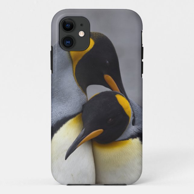 King Penguins in Love iPhone 5 Case-Mate Case (Back)