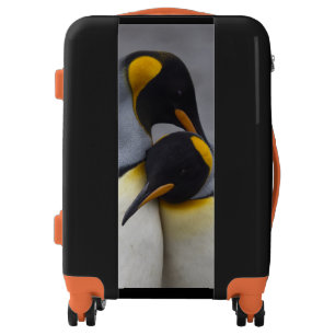 King Penguins in Love Luggage
