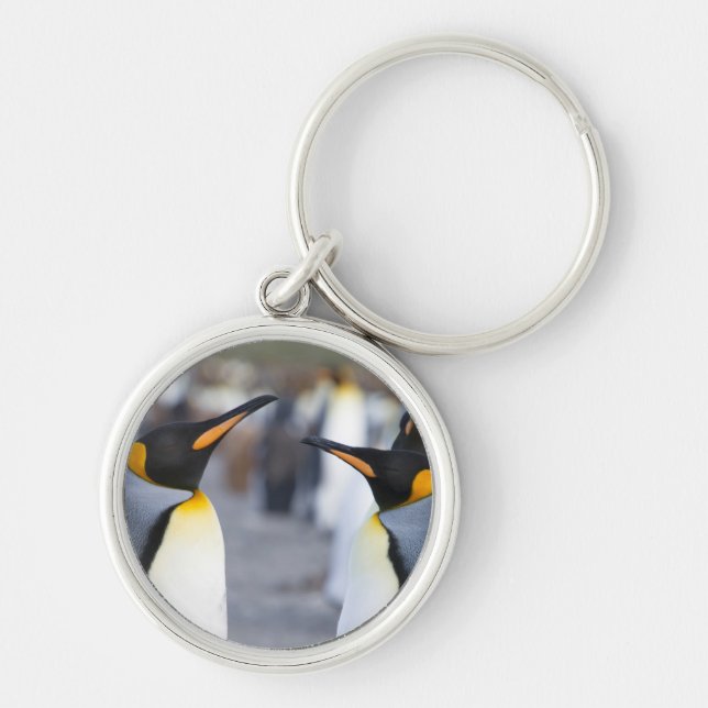 King Penguins Keychain (Front)