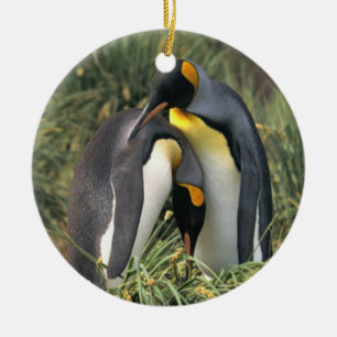 King penguins Lovers Ceramic Ornament