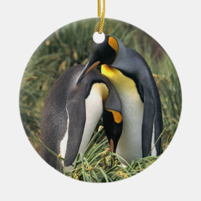 King penguins Lovers Ceramic Ornament (Front)