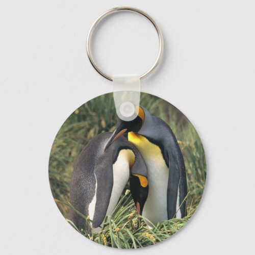 King penguins Lovers Keychain