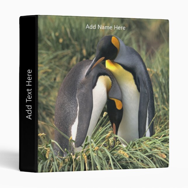 King penguins Lovers Personalized Custom Text 3 Ring Binder (Front/Spine)