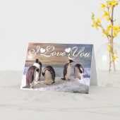 King penguins Photo Image I Love You Card (Yellow Flower)