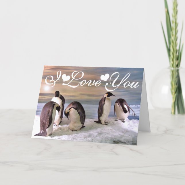 King penguins Photo Image I Love You Card (Front)
