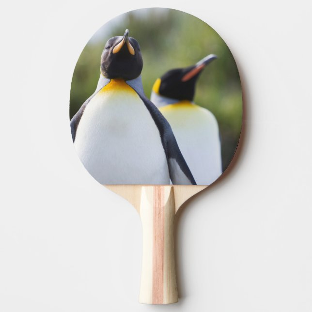 King penguins Ping-Pong paddle (Front)