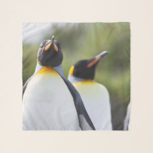 King penguins scarf