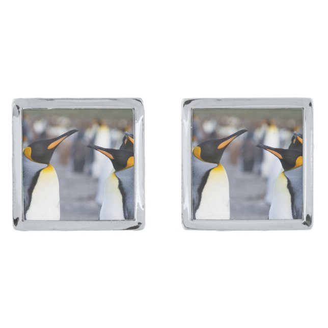 King penguins silver cufflinks (Front)