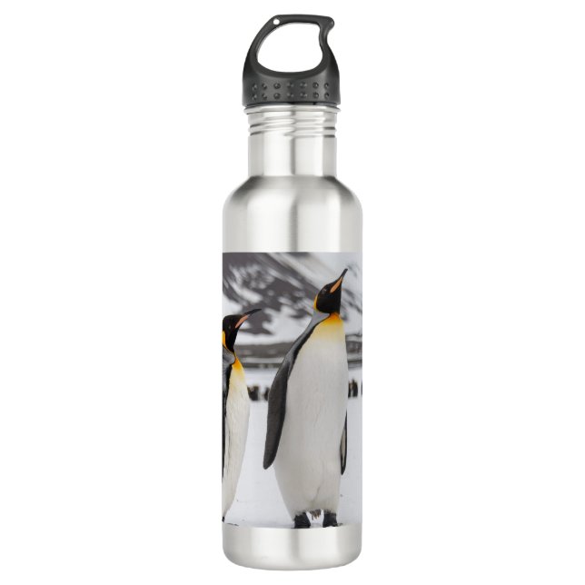 King Penguins Stainless Steel Water Bottle (Front)
