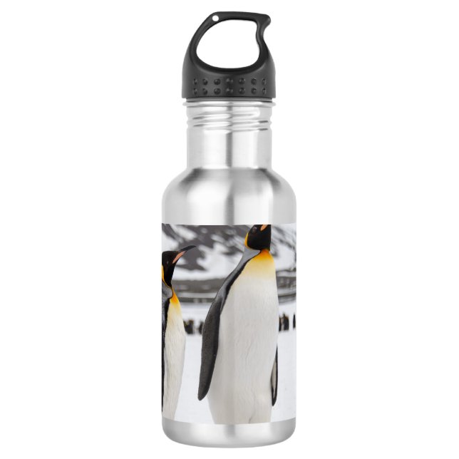 King Penguins Stainless Steel Water Bottle (Front)