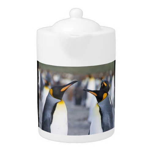 King Penguins Teapot